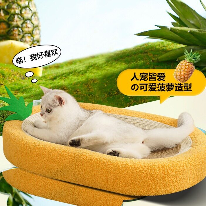 菠萝猫抓盆全剑麻板窝创