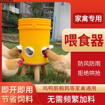 鸡鸭鹅自动喂料器家禽喂食器