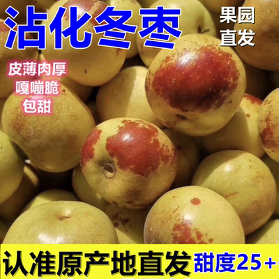 沾化冬枣脆甜果园直发适合追剧