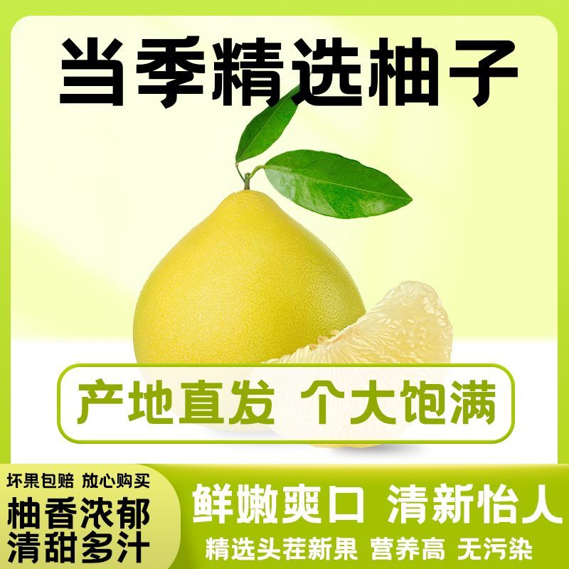 【绿色食品】【富硒产品】井冈蜜柚金沙柚白心甜柚子新鲜水果整箱