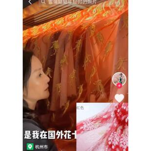 衣服防尘纱笠雪瑞姑姑同款纱衣简约软纱唯美网纱遮挡盖巾装饰印花