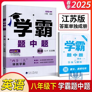 2025春经纶学典学霸题中题英语八年级下册江苏版译林版初二8下英语教材同步课时作业单元期中期末提优测试卷课后练习册辅导