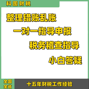 整理错账乱账内账外账咨询代理记账税务申报个体小规模一般纳税人