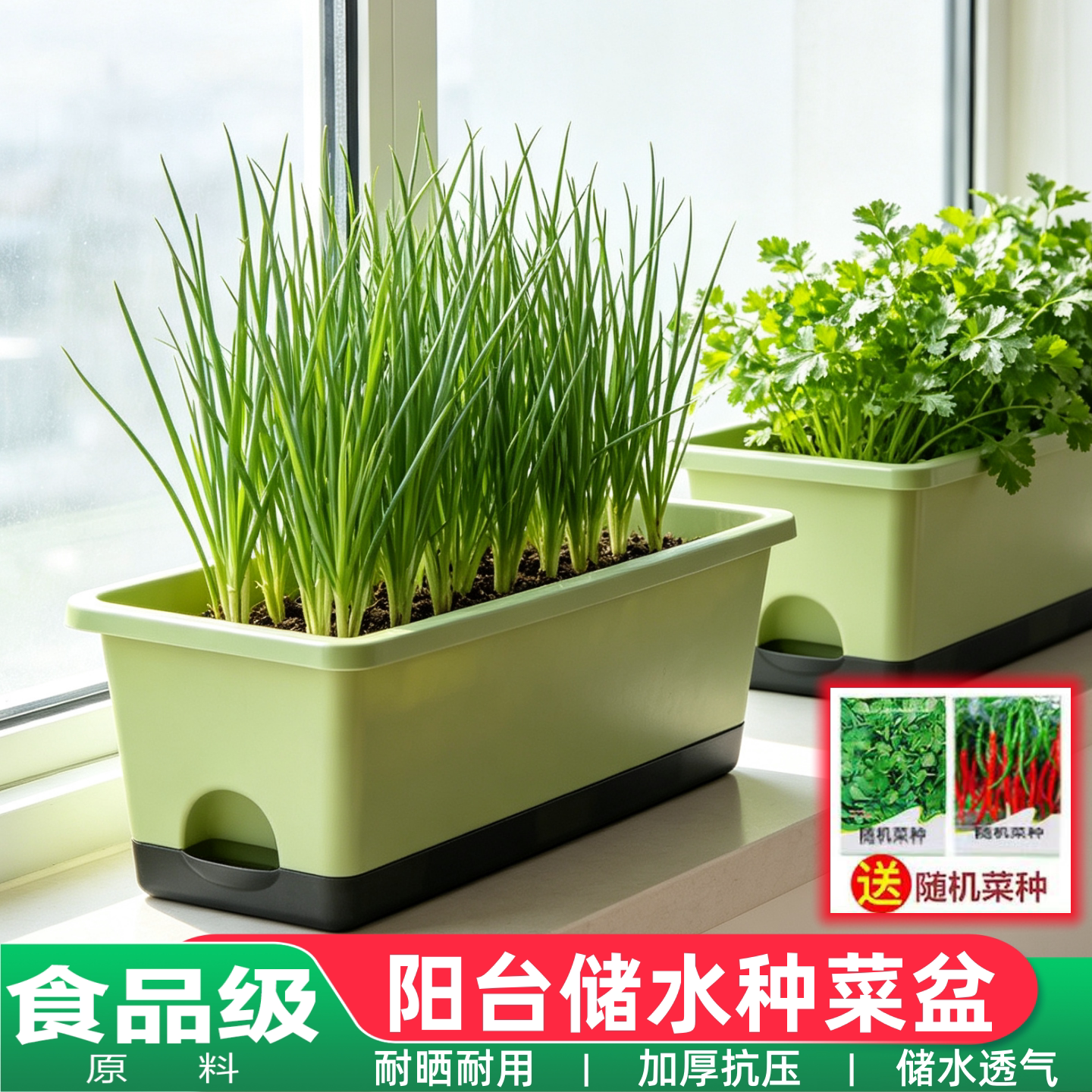 阳台专用健康蔬菜种植盆