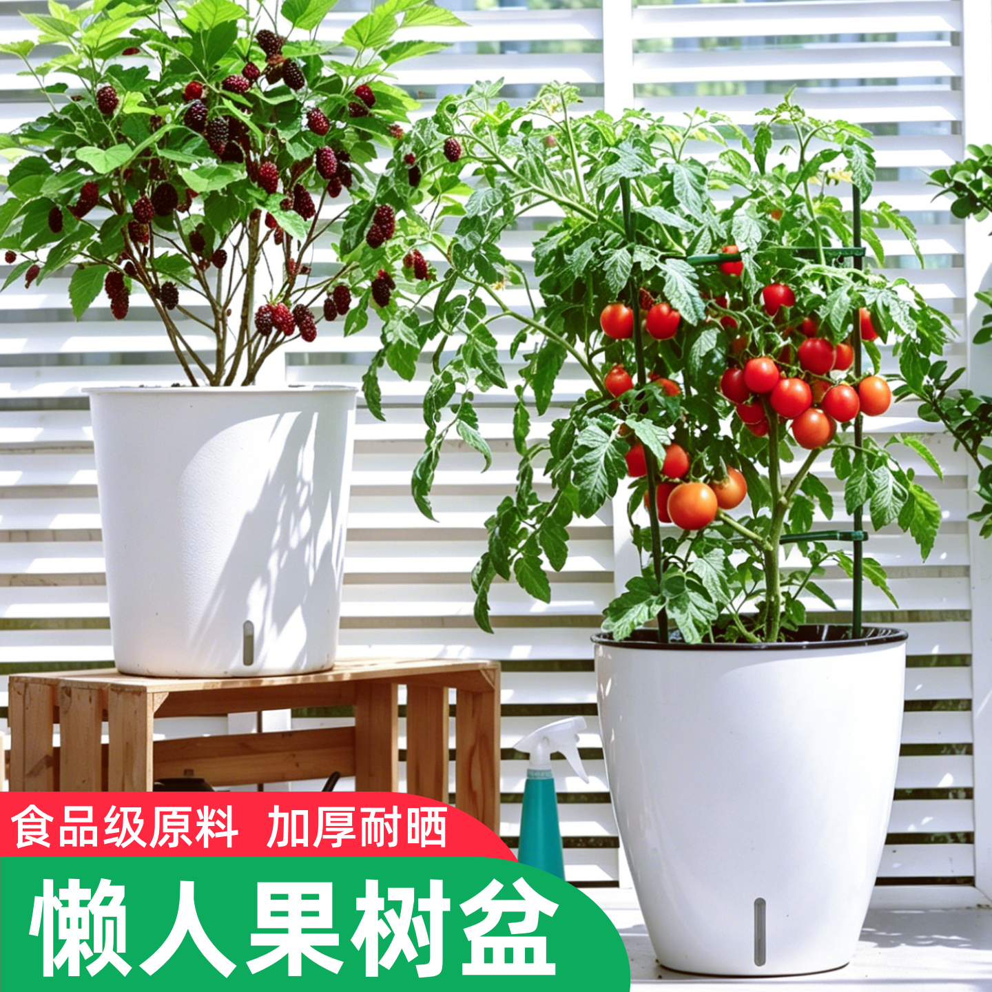 家用客厅专用发财树大花盆