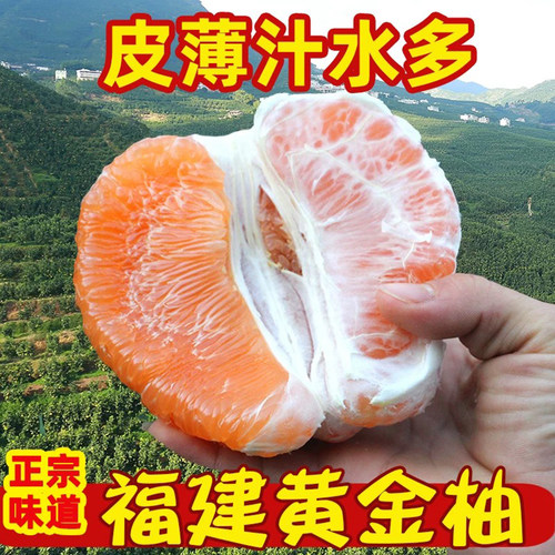 黄肉蜜柚皮薄多汁纯甜无酸