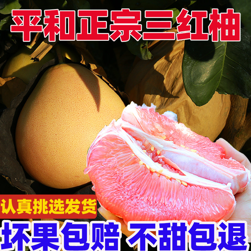 平和三红柚子福建琯溪蜜柚新鲜水果品质保证新鲜采摘老客户专挑