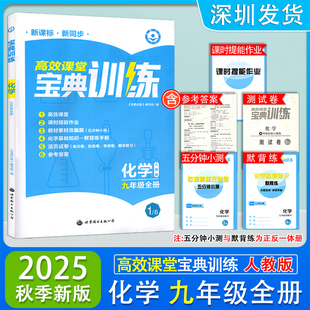 2025秋季新版高效课堂宝典训练九年级全一册化学人教版同步辅导练习册 初三9年级全册新课标新同步宝典训练