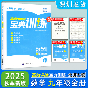 2025秋季新版高效课堂宝典训练九年级全一册数学北师大版同步辅导练习册 数学9年级全册新课标新同步宝典训练