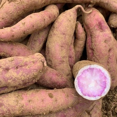 广西冰淇淋番薯一点红紫心红薯农家新鲜自种花心红薯地瓜粉甜无丝