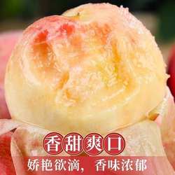 现摘现发新沂水蜜桃新鲜水果当季软脆桃子毛桃现摘江苏特产礼盒装