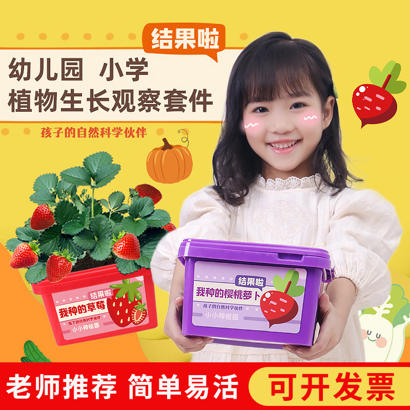 【老师推荐】儿童种植小盆栽