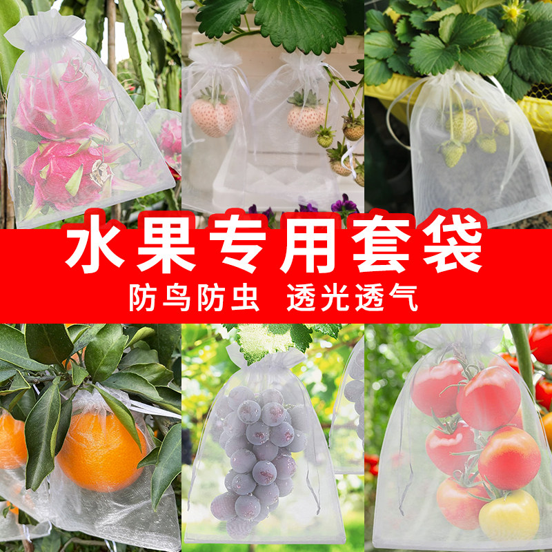 水果套袋防虫防鸟专用网袋