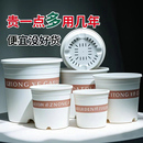 白色加仑盆第三代控根花盆耐用花盆大号塑料树脂青山盆透气特价