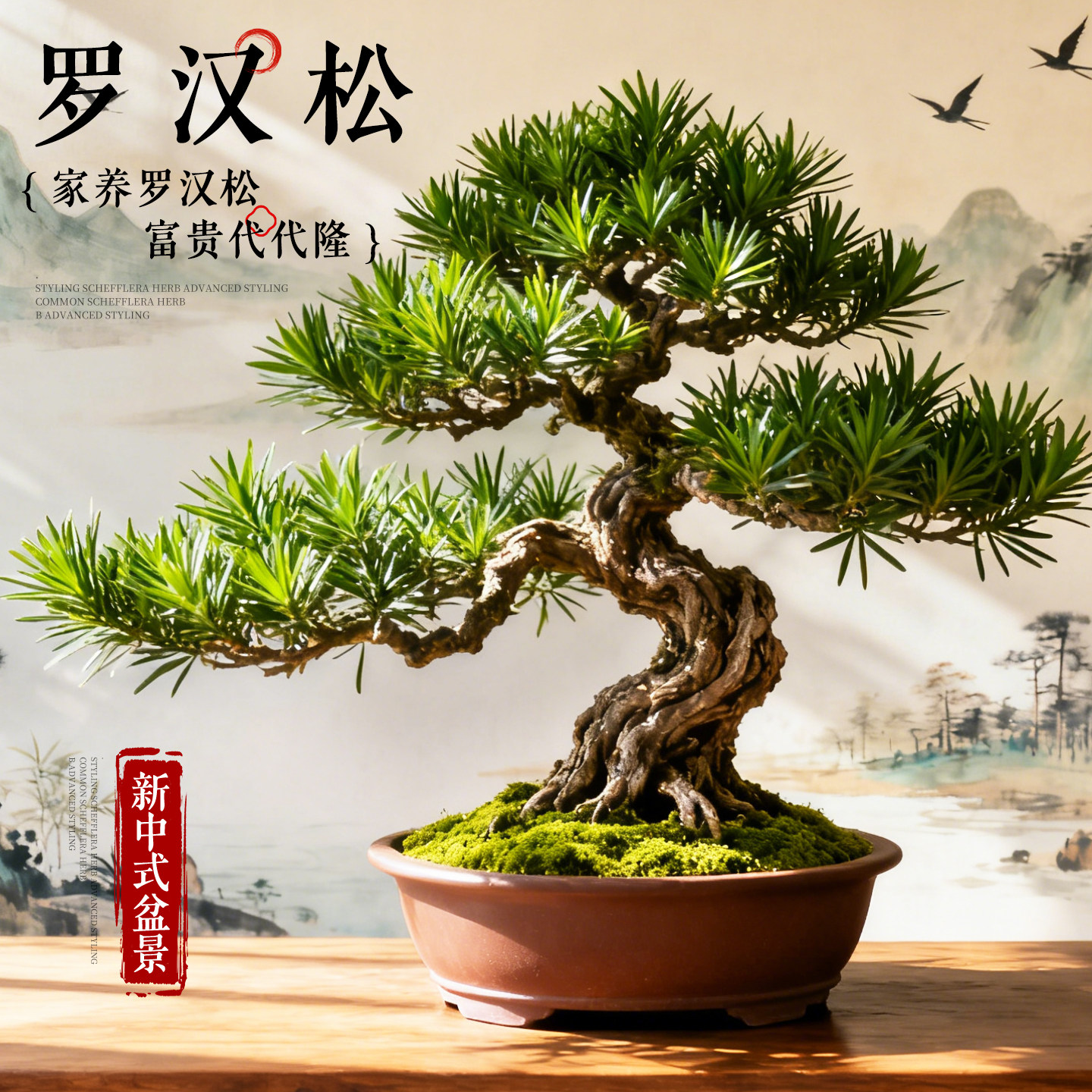 罗汉松盆景飘枝造型老桩室内大盆客厅绿植四季好养盆栽大型迎客松