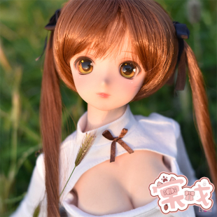 Evoke 素头单头 Doll Sinori 树脂头 3分 棠戏BJD
