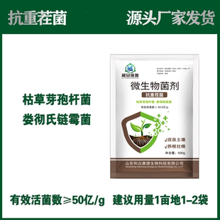 混合微生物菌剂促进作物生根 抗重茬 放线菌枯草芽孢杆菌混合