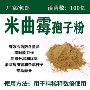 买1kg赠500g 米曲霉孢子粉100亿米曲霉菌 生物肥生物菌种厂家直供