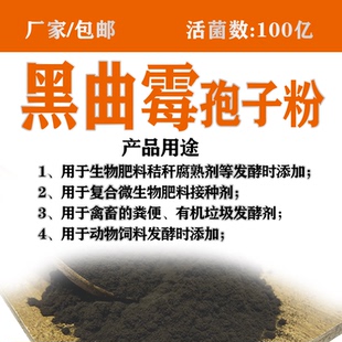 买1kg送500g黑曲霉菌饲料发酵用分解纤维100亿猪牛羊等添加剂菌种