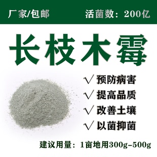 200亿长枝木霉厂家直供预防多种土传病害分解土壤有机物100g 包邮