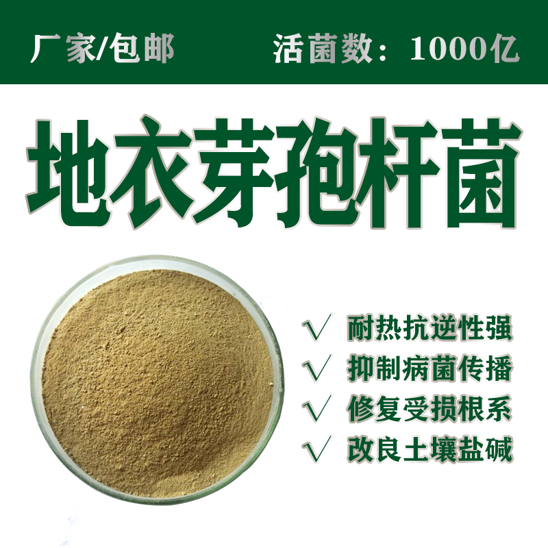 厂家直供1000亿地衣芽孢杆菌包邮