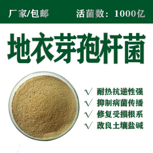 厂家直供1000亿地衣芽孢杆菌包邮