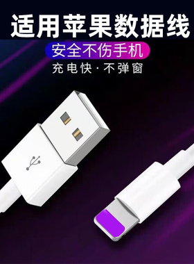 艾胜者 适用苹果5A快充数据线iPhone6s/7/8Plus/11pro/12/13mini/14/XS/XR手机平板ipadpro通用充电线USB接口