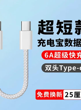 艾胜者双Type-C数据线短款