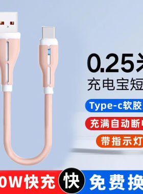 艾胜者120W超级快充Typec数据线