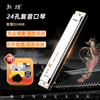 敦煌口琴24孔复音12调全