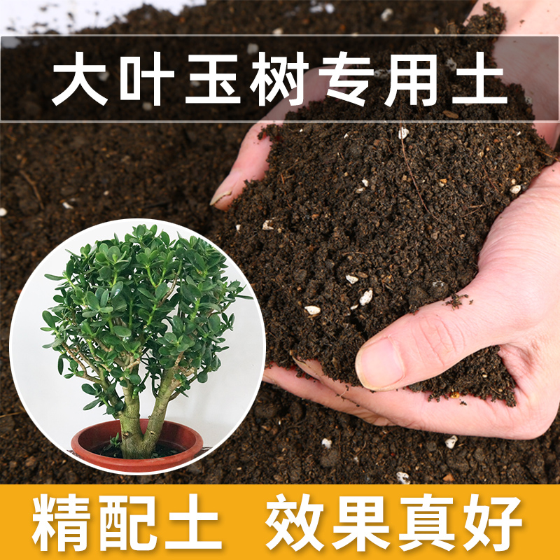 大叶玉树专用土玉树土盆栽营养土腐殖种花养花黑土壤种植土有机肥