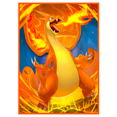 宝可梦卡套喷火龙PTCG牌套星空闪光diy官套WS桌游卡牌保护套66x91