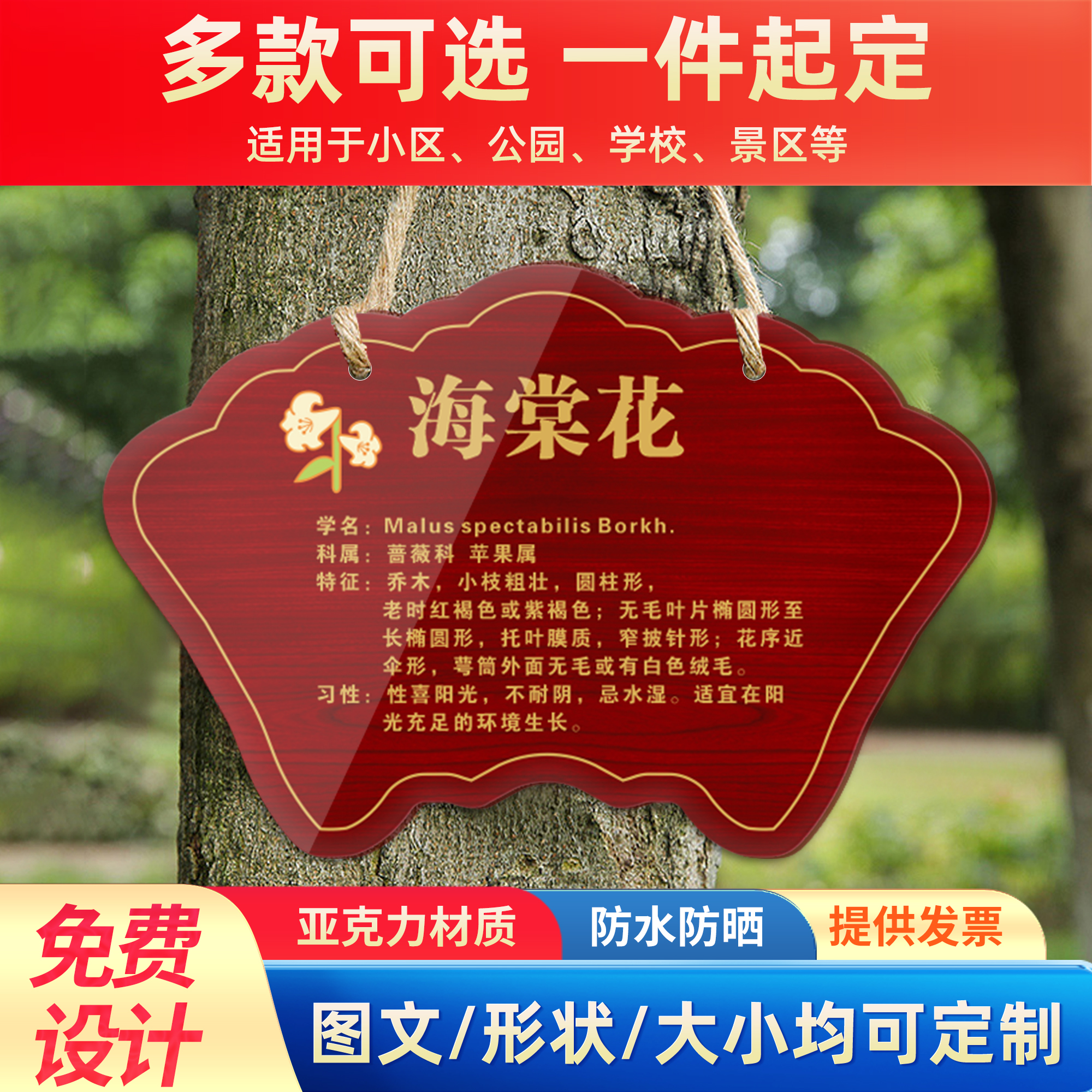 爱护花草提示牌树牌挂牌定做公园植树节插地牌设计植物信息牌树木介绍