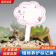 园艺爱好者小标签花盆牌花卉牌子绿化植物养护班级种植牌幼儿园学校多肉绿萝绿植标签插牌diy手写pvc插土牌