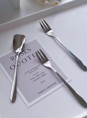 程千万WAN 韩国原单304不锈钢甜品勺ins风居家蛋糕水果叉餐具套装