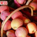 包邮 新鲜糖心苹果整箱10斤 正宗新疆阿克苏冰糖心苹果大果水果应季