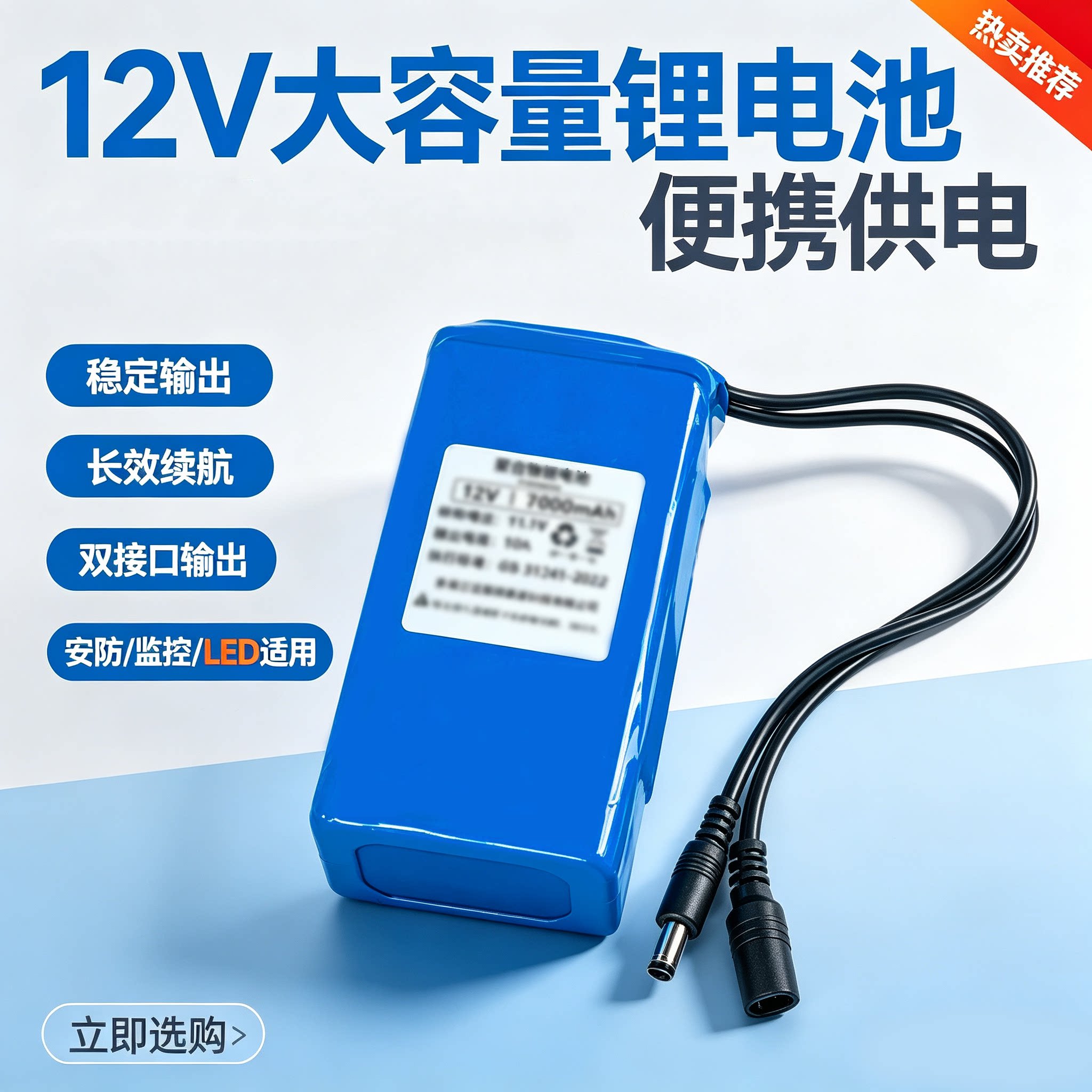12V聚合物锂电池大容量可充电电池/燃料