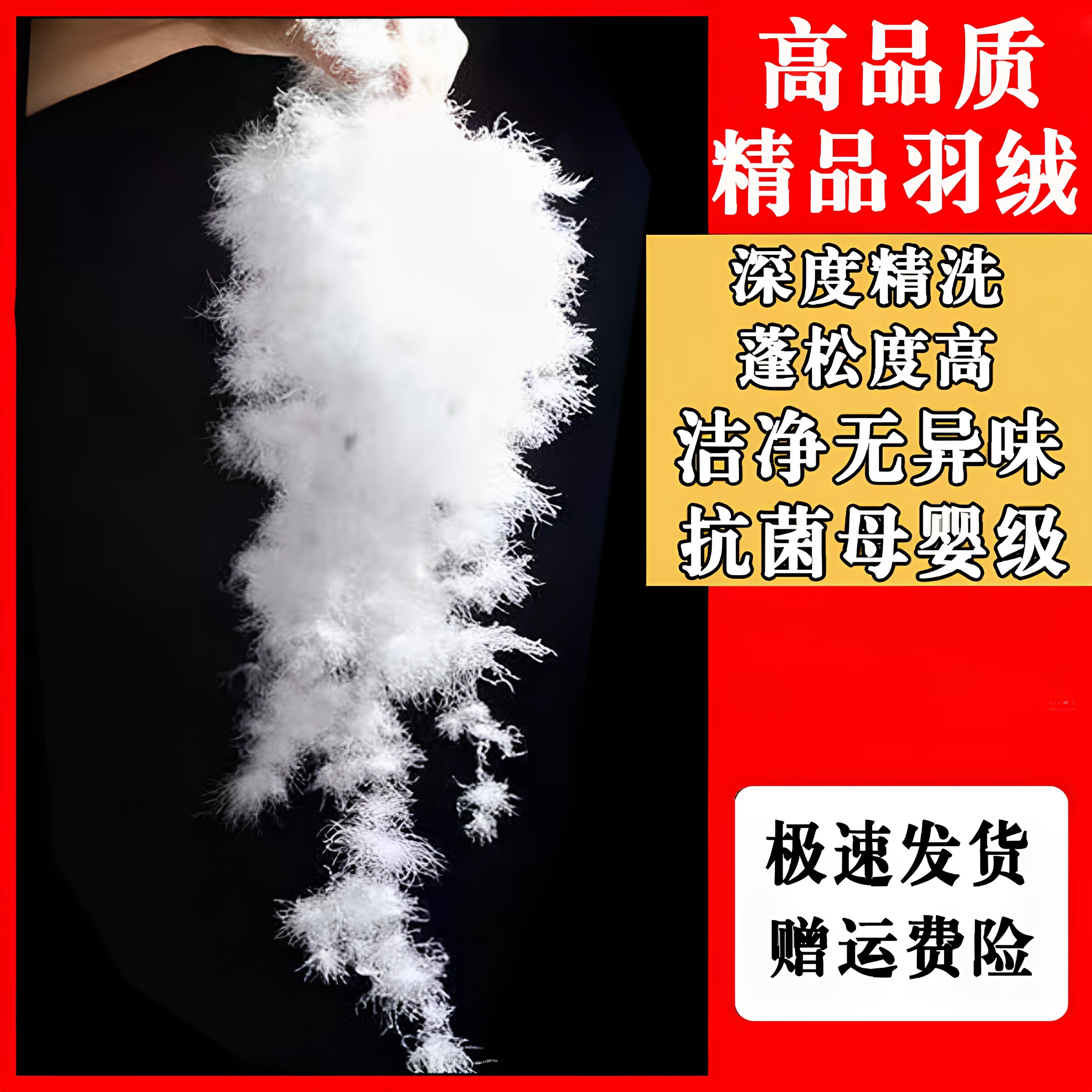 高品质羽绒抗菌母婴级95白鹅绒图片