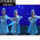 烟雨鹊桥舞蹈演出服第六界舞蹈大赛舞台表演服羽毛裙学生