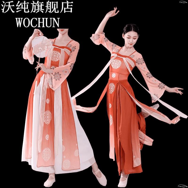 古典舞蹈身韵纱衣演出服女汉服汉唐齐胸飘带长款中国舞演出服装女