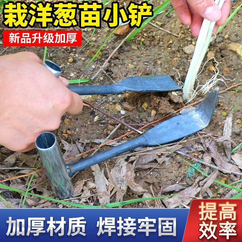 加厚栽洋葱苗小铲栽苗器栽洋葱苗工具种洋葱小尖铲子栽洋葱苗工具