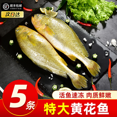 黄花鱼冰鲜部族超值特大