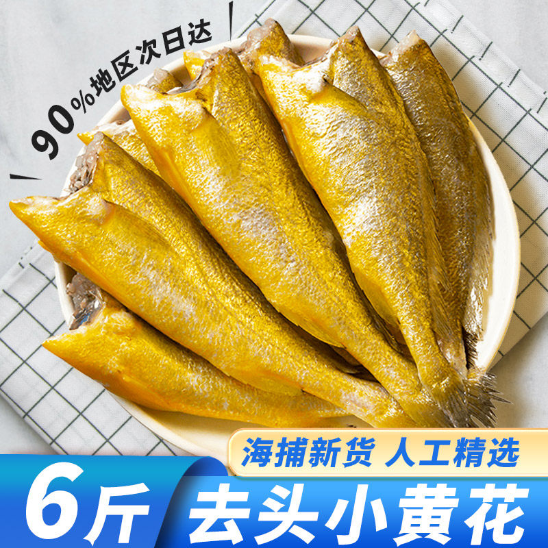 4斤去头小黄鱼鲜活冷冻新鲜大黄花鱼干炸免杀烧烤海鲜生鲜商用
