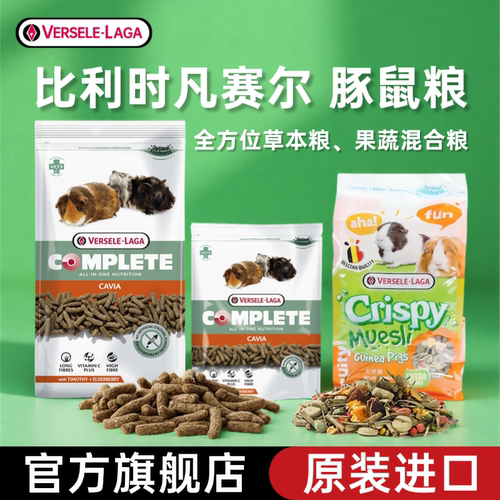 比利时凡赛尔进口豚鼠荷兰猪粮食