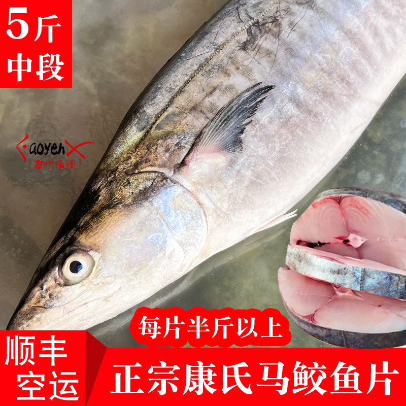 正宗九节马鲛鱼中段新鲜海鲜现切超大马鲛鱼片康氏马鲛深海鱼鲅鱼
