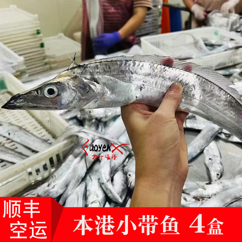 福建漳州本港海捕黑眼小带鱼新鲜海鲜刀鱼切段400g*4盒内港海钓鱼