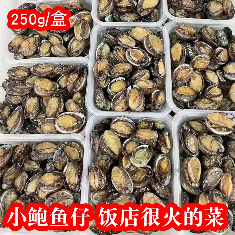 小鲍鱼仔饭店大排档专用捞汁小海鲜生...