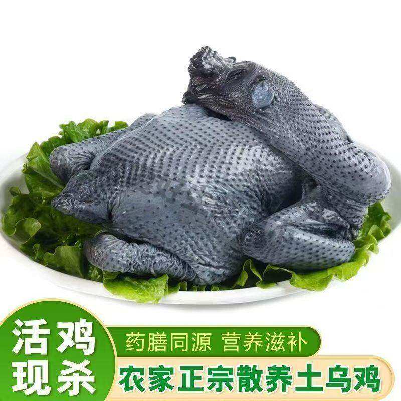 【顺丰/京东包邮】现杀乌鸡新鲜土鸡农家散养正宗营养乌骨鸡整只