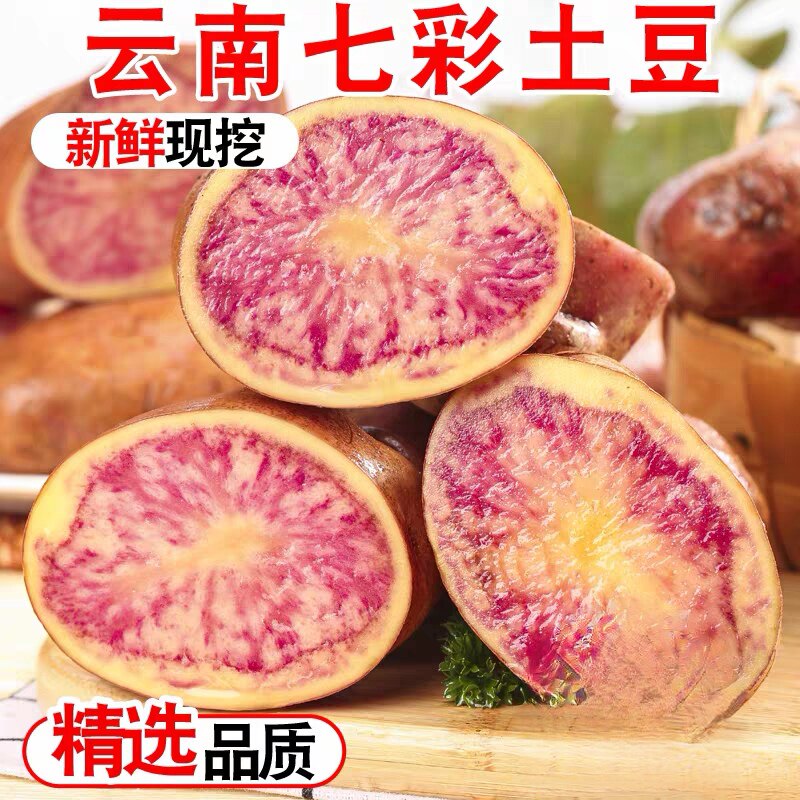 2026年云南七彩土豆彩虹土豆马铃薯新鲜洋芋花心土豆新土豆到货图片