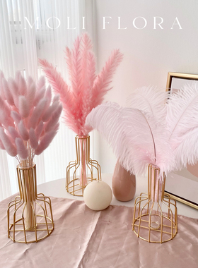 轻奢粉色芦苇兔尾草干花花束摆件真花天然风干装饰北欧客厅摆设